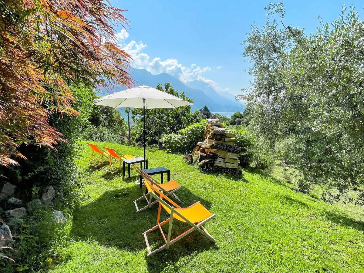 Breva Loft Tra Gli Ulivi Ed Il Lago Bellagio Exterior foto