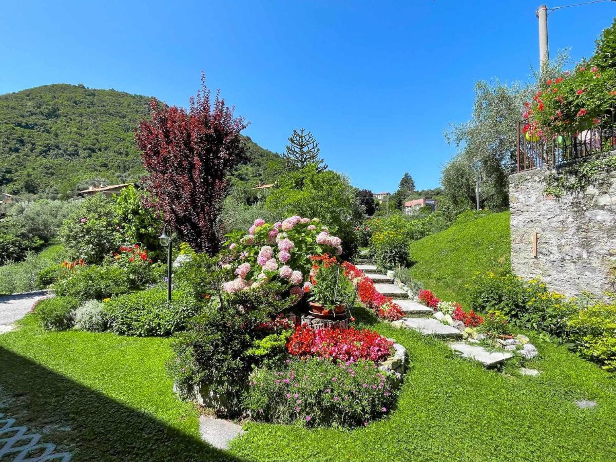 Breva Loft Tra Gli Ulivi Ed Il Lago Bellagio Exterior foto
